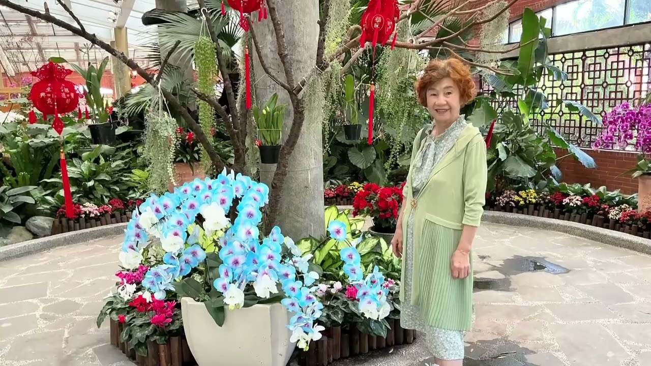 115年2月23日士林官邸鬱金香展（5）