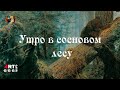 Иван Шишкин  Утро в сосновом лесу