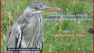 Details Panasonic Lumix FZ80/82 For Absolute Beginners:  Part 1 Using the Fully Automatic Modes. News