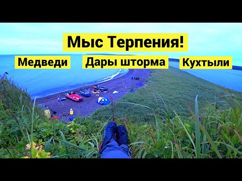 Гоняем медведей, ищем кухтыли и собираем дары шторма на мысе Терпения!