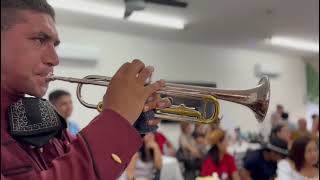 mariachi as de México a sus órdenes