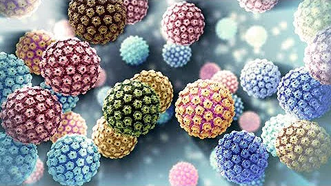 ¿Infecta el VPH a todo el cuerpo?