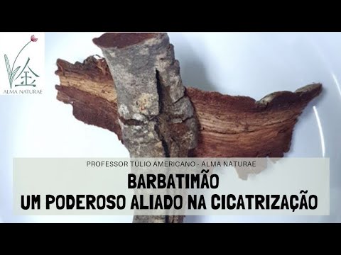 Conheça o Barbatimão e use-o para curar feridas de diabetes, queimaduras, leishmaniose e mais!