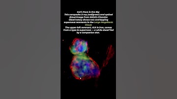 Cat’s Face in the Sky Large Magellanic Cloud #space #universe