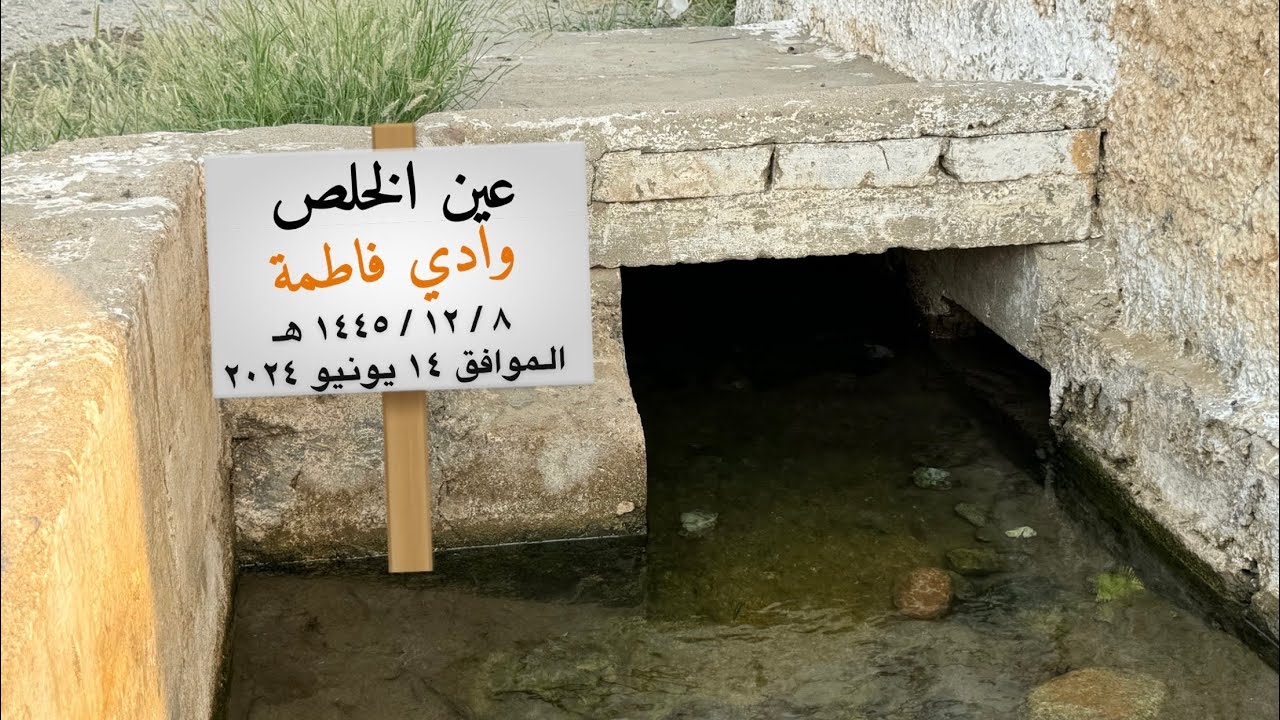 عين الخلص في 