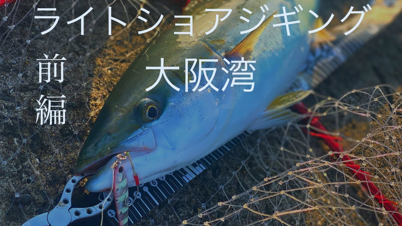 岸和田沖堤防 大阪湾釣ります ライトショアジギング春開幕の準備ok 鰤 メジロ ブリ Youtube