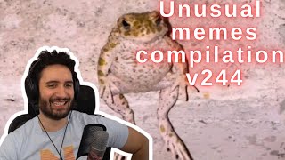 NymN actually reacts to unusual memes compilation v244