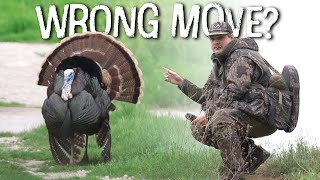 We Probably Messed Up (EXTREMELY Vocal Turkeys) by Realtree Road Trips 1,621 views 3 weeks ago 18 minutes