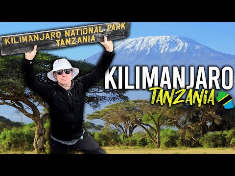 Video: 8 fakta menarik mengenai Kilimanjaro