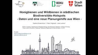 UrbanBEE Webinar: Honigbienen und Wildbienen in städtischen Biodiversitäts-Hotspots (16.04.2026)