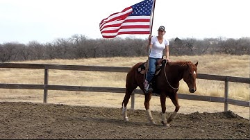 Valley View Ranch - Little Pep - carrying flag, bridle-less