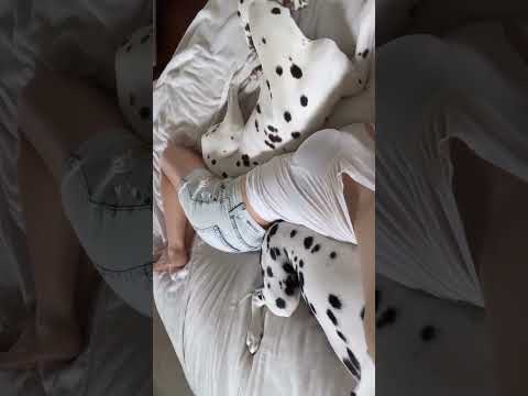 Amanda Cerny (@amandacerny) archived Instagram Stories compilation from May 11, 2026