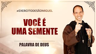 Palavra de Deus | Você é uma semente (Lc 13,18-21) Ir Luís Maria 31/10