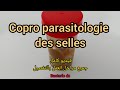 Copro parasitologie des selles      