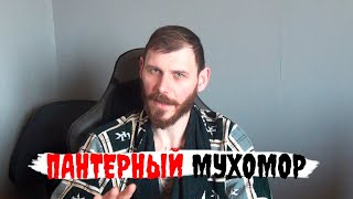 Пантерный Мухомор - Философское Переосознание Трипа (Часть 1)