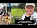 Rural Life in Thailand - New Additions to the farm