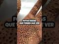 Fotos Raras Que Tienes Que Ver #raro #fotos #fotosraras