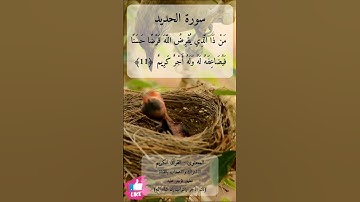 من ذا الذي يقرض الله قرضا حسنا فيضاعفه له | سورة الحديد #دعاء_ورسالة