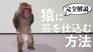 もうわかりました。そんなに言うなら企業秘密も全部しゃべりますよ。