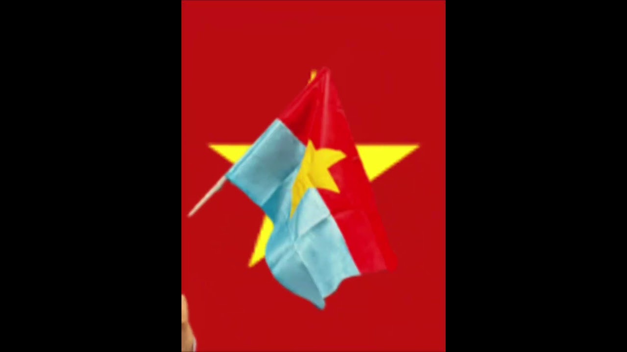 Việt Nam Mãi Đỉnh #funk #phonk #edit#phonkagressive #xh #xhyoutube #vietnam #vietnamcountry