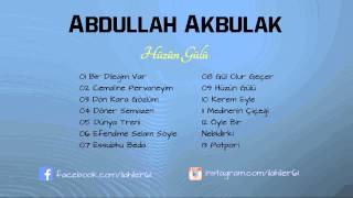 Abdullah Akbulak - Bir Dileğim Var [2015 Yeni Albüm] (Hüzün Gülü) Resimi