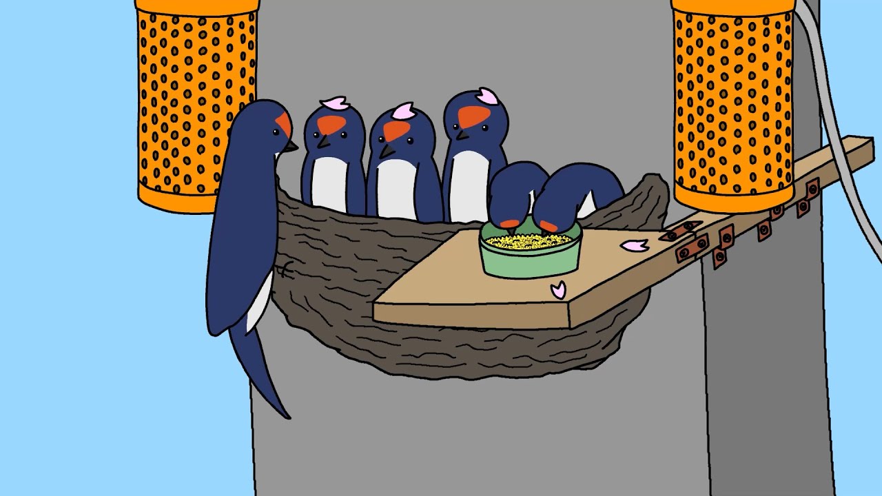 swallow3 - YouTube