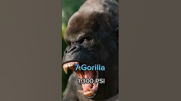 Top 10 Strongest Animal Bite Forces in the World