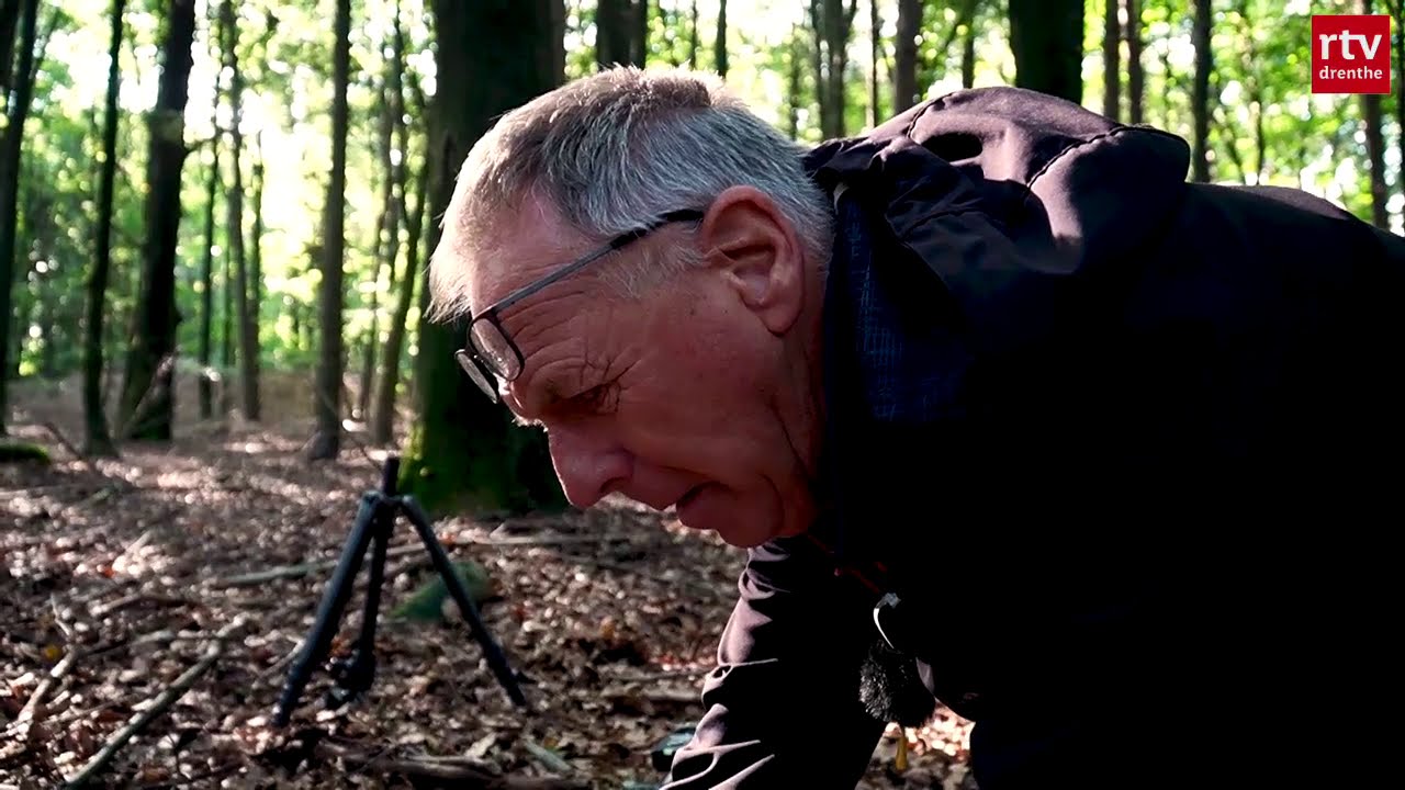 Natuurfotograaf gaat op de knieën voor paddenstoelen 🍄