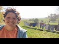 LINE DRYING LAUNDRY, plus laundry tips and systems that WORK