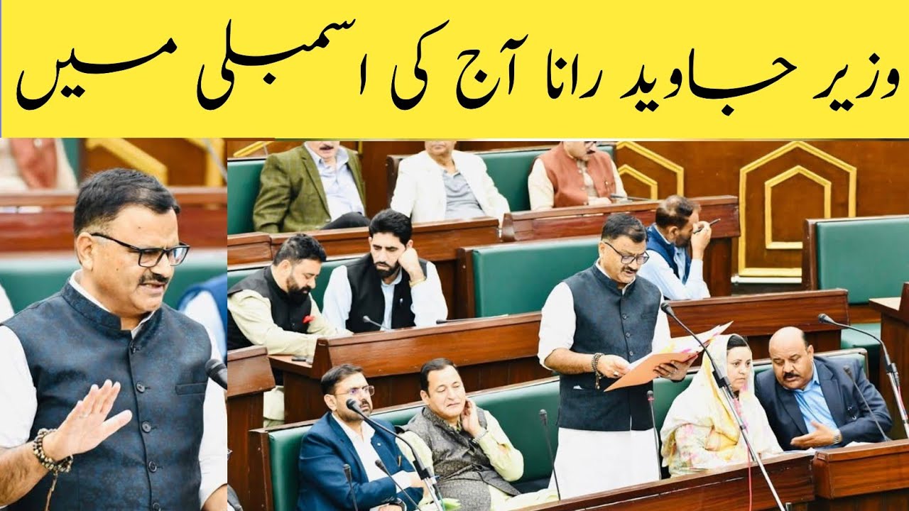 Javed Rajar R Minister javed rana in today assembly - YouTube