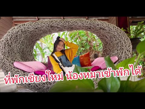 ที่พักในเมืองเชียงใหม่ ราคาไม่แพง โรงแรมคชสีห์ธานี เชียงใหม่ ที่พักเชียงใหม่น้องหมาเข้าได้