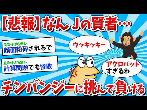 [2ch Funny Thread] [Sad News] NanJ Member Challenges Chimpanzee and Loses lol [Slow Commentary]