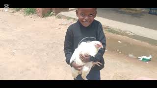 Download Lagu Mommy life//school search//grocery shopping 🛍 🇿🇼🇿🇼 MP3