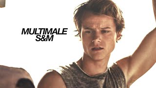 Multimale | S&M