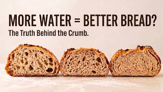 Bread Hydration, Which is Best?