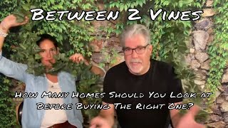 Between 2 Vines Episode 6 - Finding the prefect home... How many homes will you need to look at?