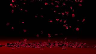 ROSE PETAL Falling Rose background (3DMAX) screenshot 5