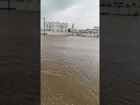 وصول الأودية حاليا بمنطقة خضراوين بولاية شناص محمد البدواوي منخفض الو بل