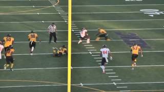 Morgan State RB Eric Harrell rips off an 87-yard TD run!