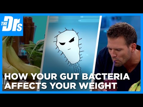 How Your Gut Bacteria Affects Your Weight and Health