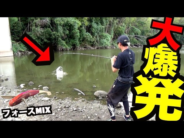 バス釣り Autumn/Winter Lake Kasumigaura Water System] Shore Bass