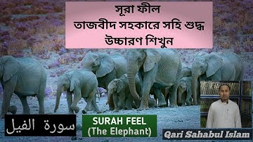 Surah Fill|| سورةٱلفِيل||সূরা ফীল-তাজবীদ সহকারে সহি শুদ্ধ উচ্চারণ শিখুন||Qari Sahabul Islam||Quran