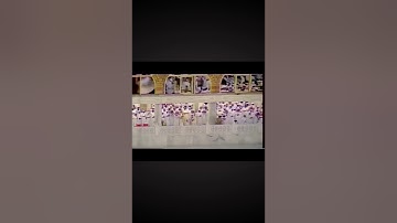 تلاوة خاشعة من أعذب أصوات الحرم المكي.. الشيخ علي جابر