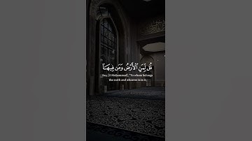تلاوه خاشعه للشيخ ياسر الدوسري #قرآن #ياسر_الدوسري #قران_كريم #راحة_نفسية #فيضانات_السودان