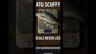 Then diamonds ain’t diamonds - ATG Scuffy
