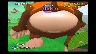Camera Is Zoomed In On Aiais During Repulse Playthrough Super Monkey Ball