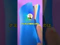 ルフィ「おいナミ、お前最近元気無いけどどうしたん?」ナミ「………」 #ワンピース #2ちゃんねる #なんj #ルフィ #shorts