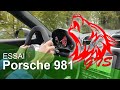 Porsche 981 gts qui hurle dans le massif ardennais