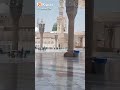 يا حمام المدينة سلم على نبينا 