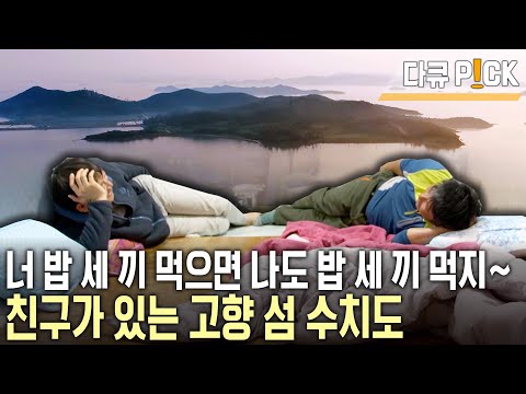 고향에 남는건 낙오가 아니다! 언제라도 반갑게 맞아줄 친구가 있는 수치도! 섬 친구가 전하는 행복론~ (KBS 20170128 방송)